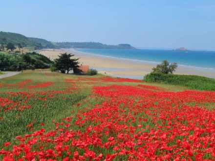 ᐃ SAINT PABU PLAGE **** : Campingplatz Frankreich Bretagne