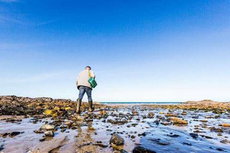 La pêche à pied à Erquy, un grand classique des vacances en Côtes-d'Armor