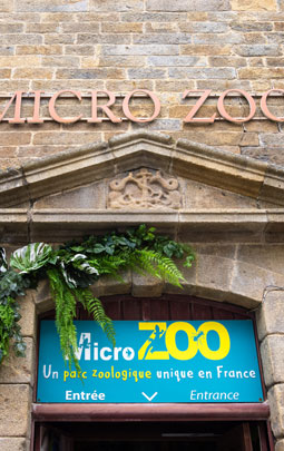 saint-malo: what zoo to discover near our campsite?