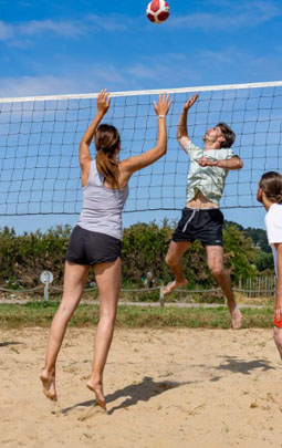 guided sports and wellness activities
